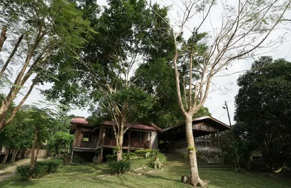 伊莎貝拉種植園農家樂