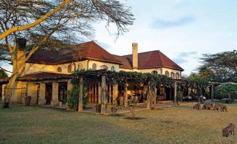 Casa Ya Ndoto (House of Good Dreams) - Housity