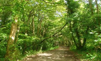 One Drake Road and Apartments, Tavistock, Devon