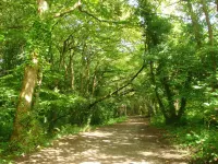 One Drake Road, Tavistock, Devon Hotels in Milton Abbot