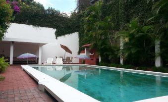 Suites & Apartments San Benito - Zona Rosa