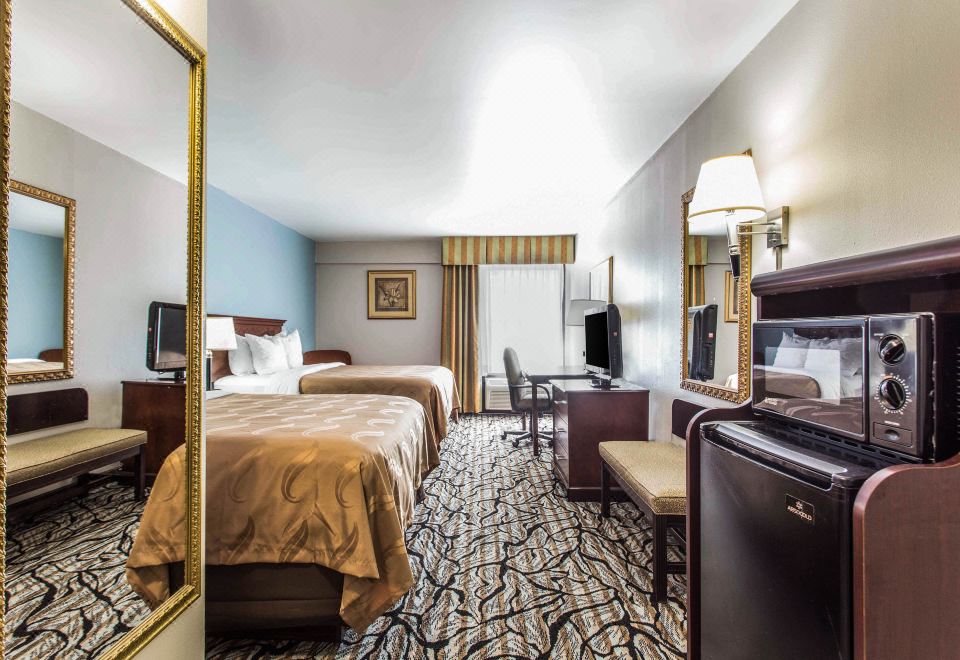 퀄리티 인 수영장