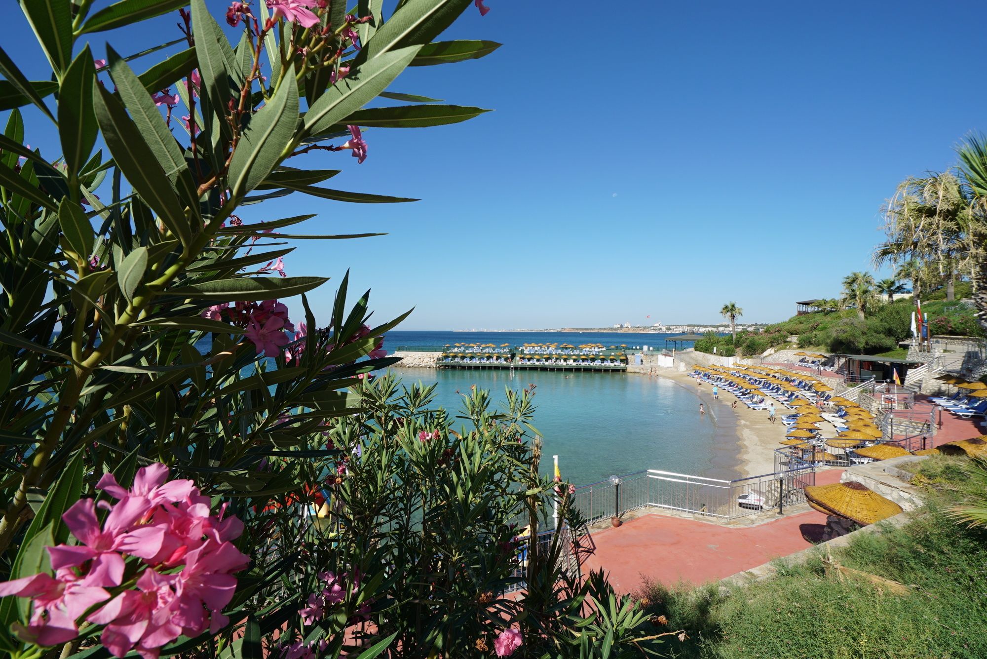 Palm Wings Beach Resort Didim - All Inclusive