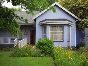 Lilac Lodge Purple House