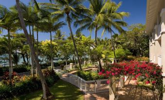 a lush green garden with palm trees , flowers , and a walkway leading to the ocean at On the Beach Apartments