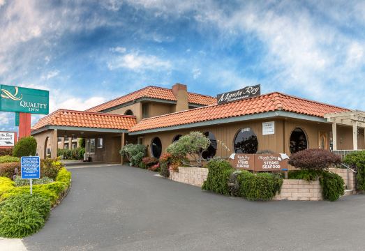 퀄리티 인 니어 허스트 캐슬