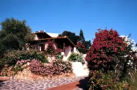 Hotel Don Diego Hotels in Murta Maria