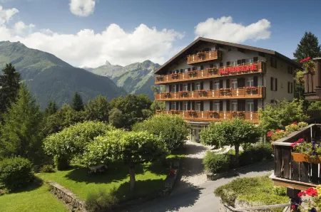 Hotel Alpenruhe - Vintage Design Hotel