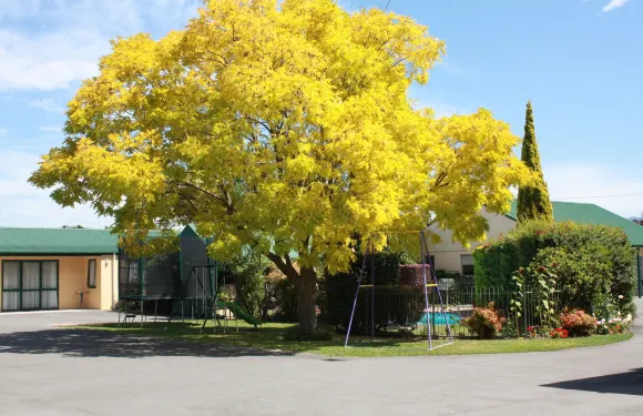 科莫多爾庭院汽車旅館