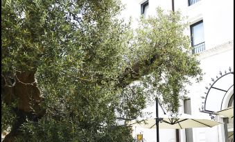 Ostuni Palace - Hotel Bistrot & Spa