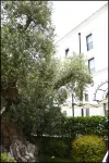 Ostuni Palace Hotel Bistrot & SPA Hotel in zona Spiaggia di Quarto di Monte