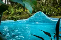 Brisas Arenal Hotel