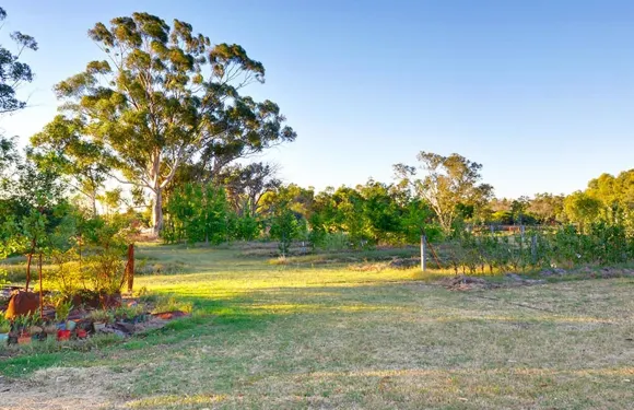 阿瑪戴爾農場住宿加早餐旅館