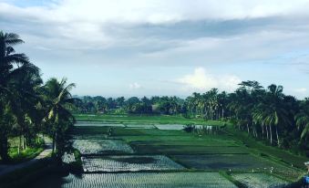 The Luxe Ubud