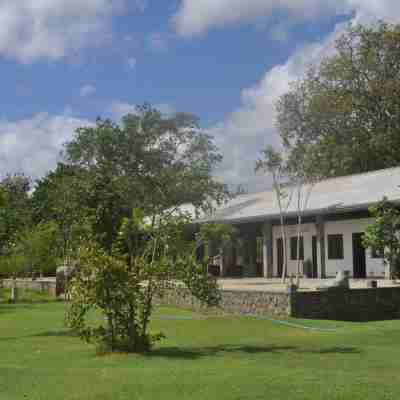 Amaara Forest Hotel Sigiriya Hotel Exterior