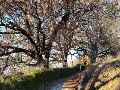 Surroundings Hotel Villa Beccaris Photo