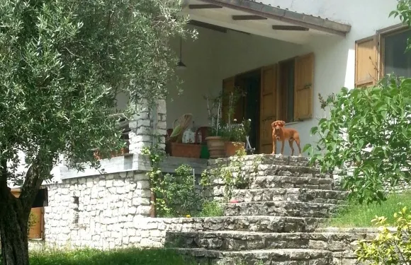 奇普里亞尼民宿