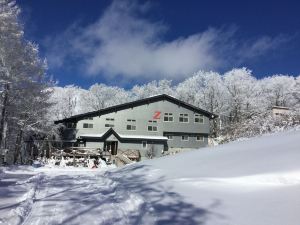 聖誕玫瑰藏王旅館