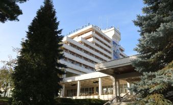 a large hotel building surrounded by trees and bushes , with a staircase leading up to the entrance at Hotel Belvedere