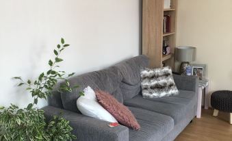 a gray couch with pillows is sitting in a living room next to a potted plant at Town Apartments