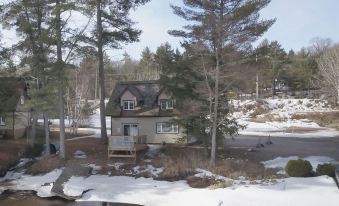 Lakefront Cottage Amazing View