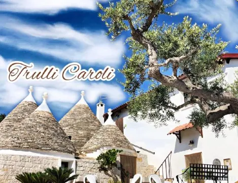 Hotel Matilde - Housity