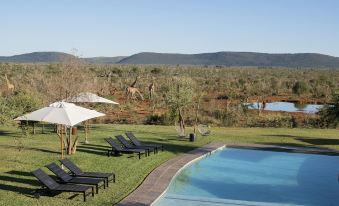 Madikwe Safari Lodge