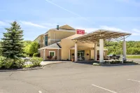 Econo Lodge 미드빌 호텔