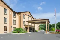 Comfort Inn New River Hotels in Lansing