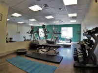 Holiday Inn Express & Suites NAPA VALLEY-AMERICAN CANYON by IHG - Gym