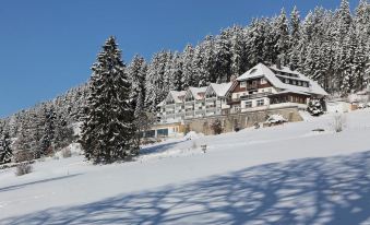 Jufa Hotel Schwarzwald