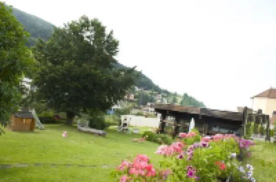 Hotel Wilder Mann Hotels in 