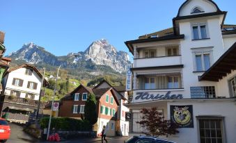 Hirschen Backpacker-Hotel & Pub