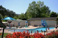 Porepunkah Pines Holiday Park - Pool
