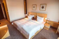 Lindenhof Hotel Tepe Hotel a Damme