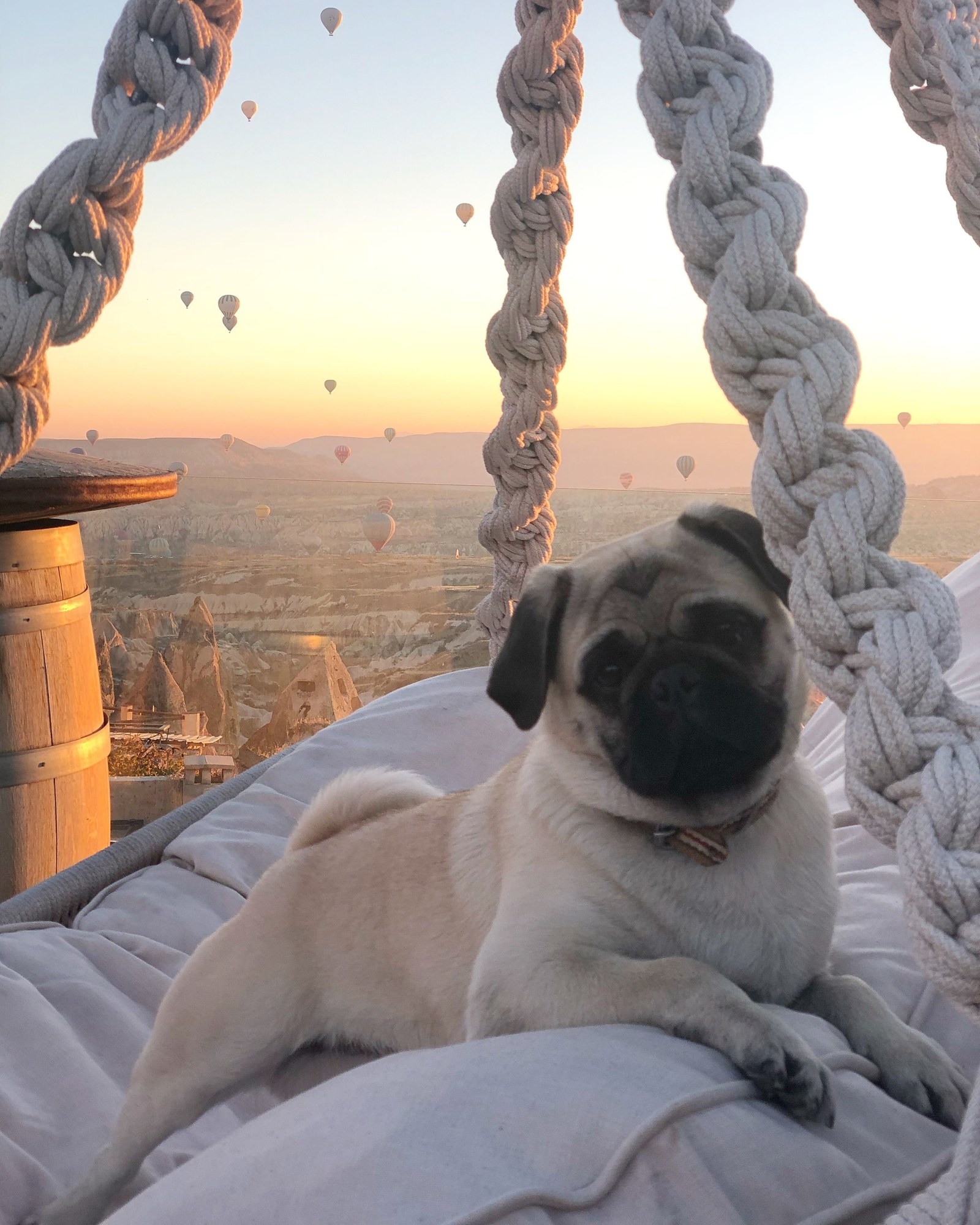 Wish Cappadocia