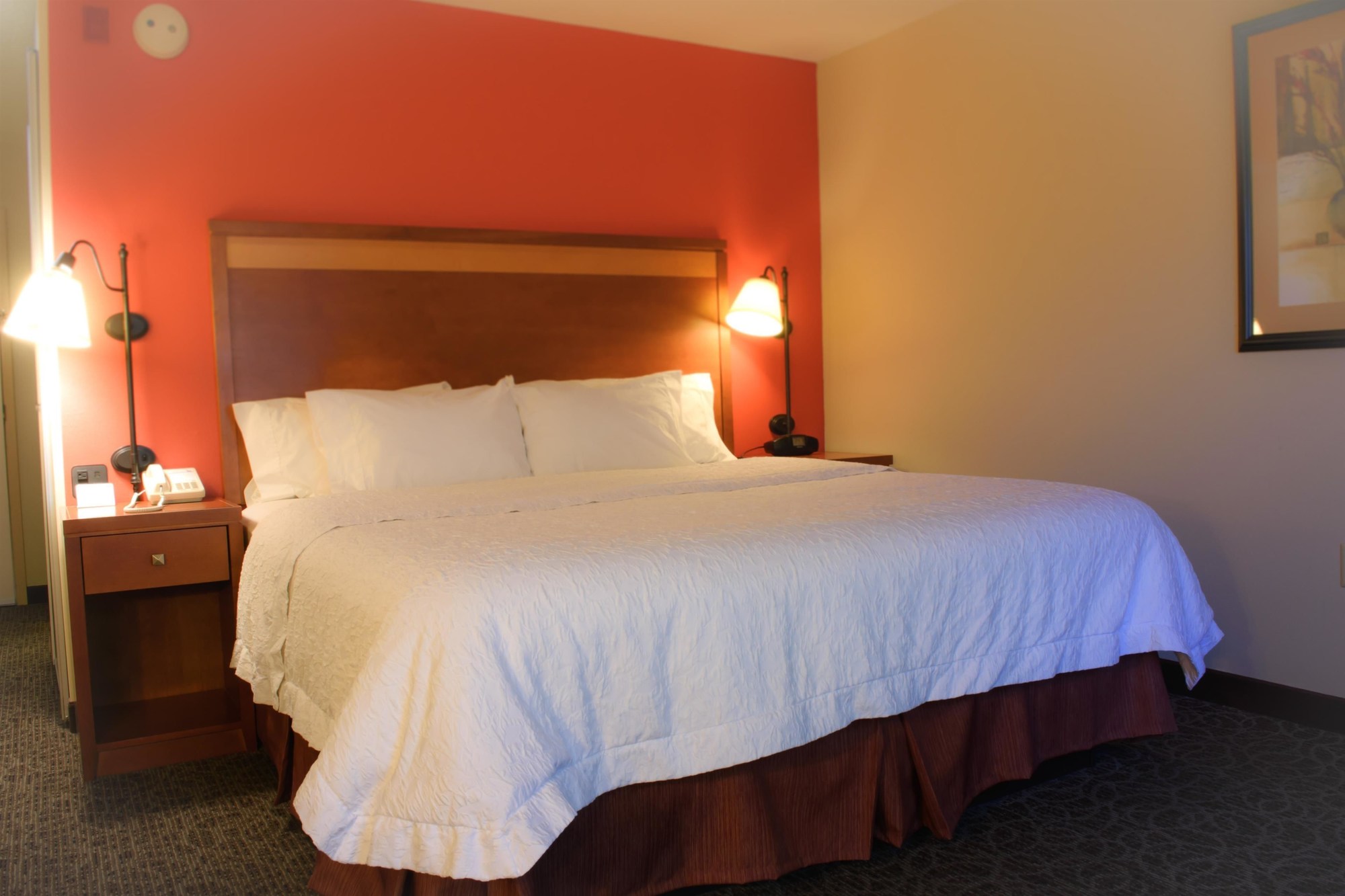 Hampton Inn Montgomery-South-Airport