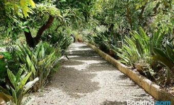 Nice House in Large Avocado Garden, Tenerife North