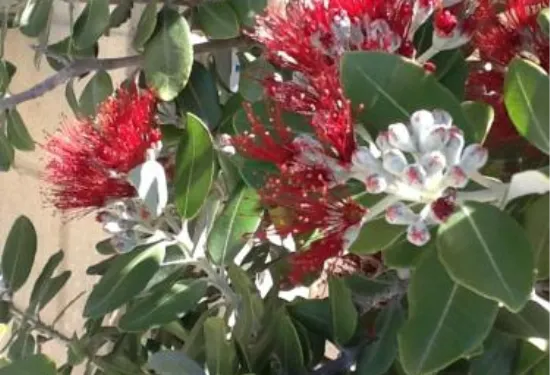 蒂維厄特景觀汽車旅館