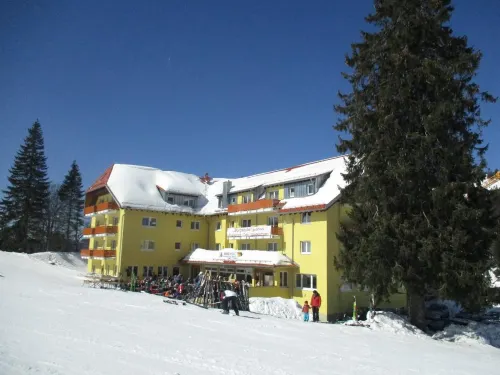 Burg Hotel Feldberg Hotels in Todtnau
