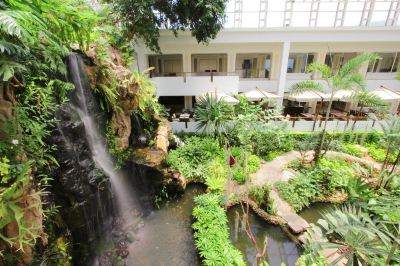 庭 デュシタニ パタヤの写真