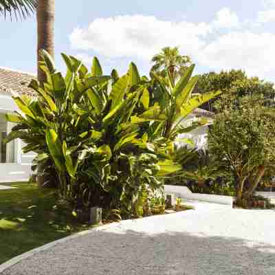 Mr & MRS Smith Puente Romano Marbella Hotel Exterior