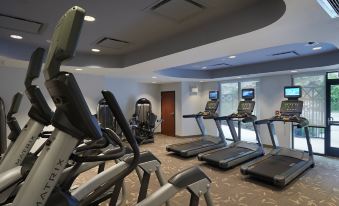 a well - equipped gym with a variety of exercise equipment , including treadmills , ellipticals , and weight machines at Courtyard Hanover Lebanon