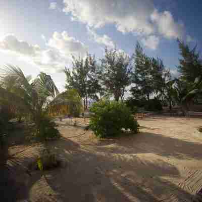 IFA Beach Resort Hotel Exterior