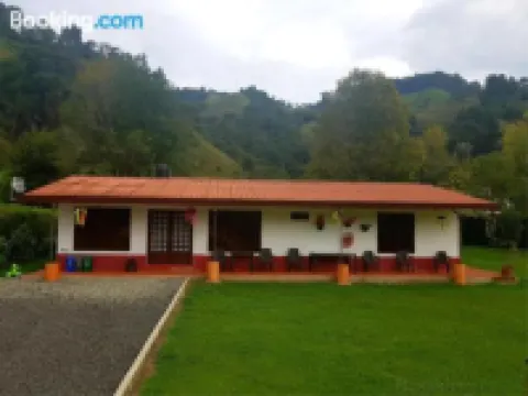 パライソ ココラ