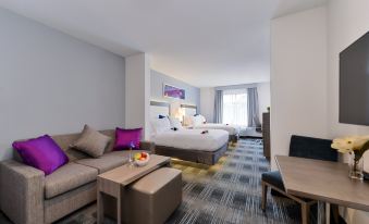 Holiday Inn Express & Suites San Diego - Mission Valley
