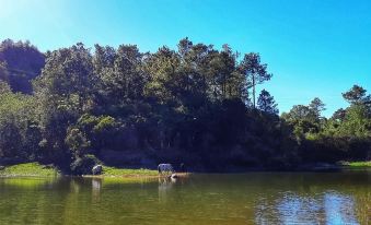 See Too Ville - Nature Lodge Sagada