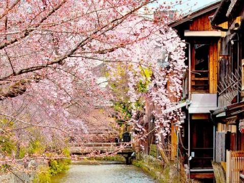 祇園旅館 休兵衛 京都 を宿泊予約 22年安い料金プラン 口コミ 部屋写真 Trip Com 祇園旅館 休兵衛 京都 を宿泊予約 22年安い料金プラン 口コミ 部屋写真 Trip Com
