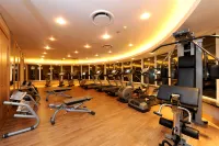 約翰內斯堡O.R.坦博國際機場洲際酒店 - 健身室/gym room