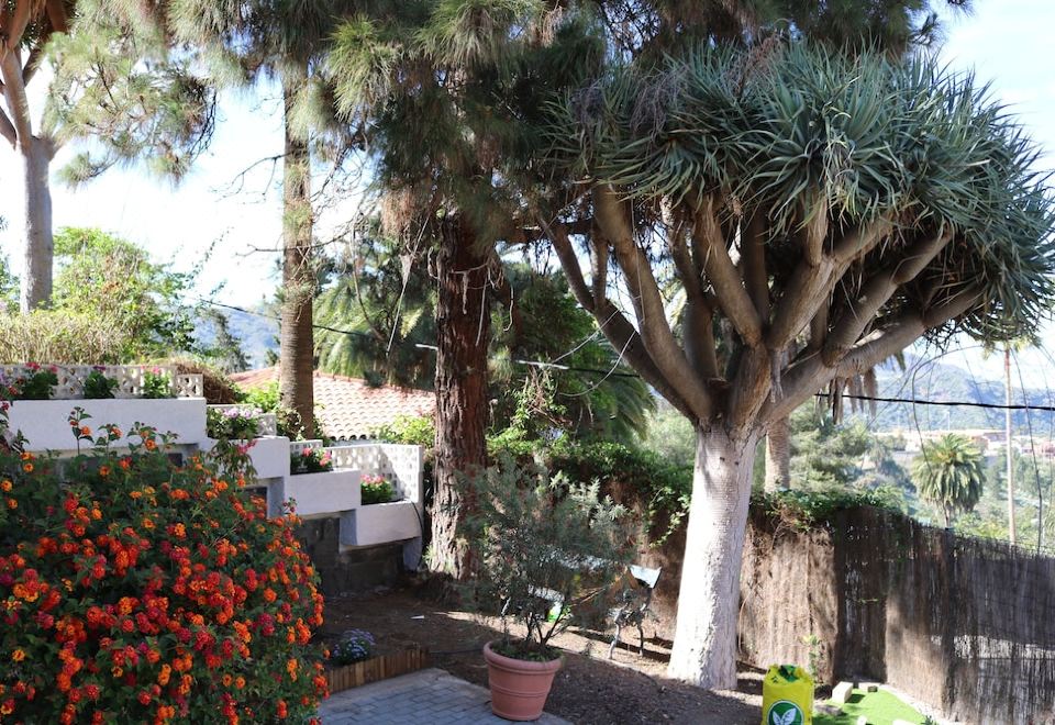 Las Hortensias-Gran Canaria Updated 2023 Room Price-Reviews & Deals |  